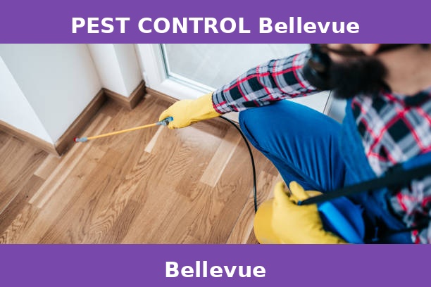 PEST CONTROL Bellevue